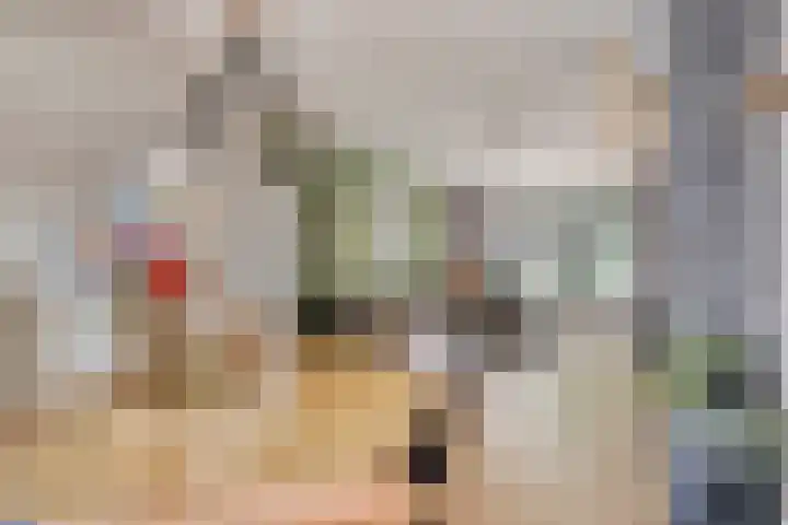 Breitnerstraat 14 Geleen thumbnail 8