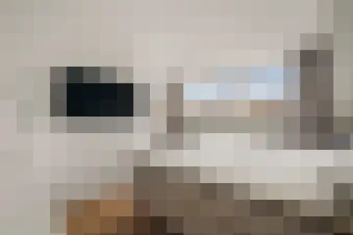 Breitnerstraat 15 Almere thumbnail 18