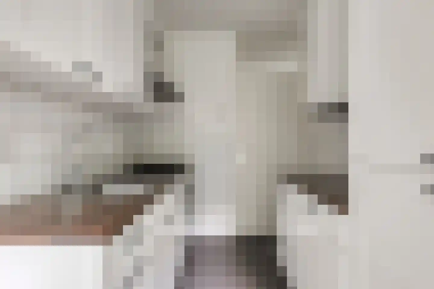 Breitnerstraat 17 Terneuzen thumbnail 14