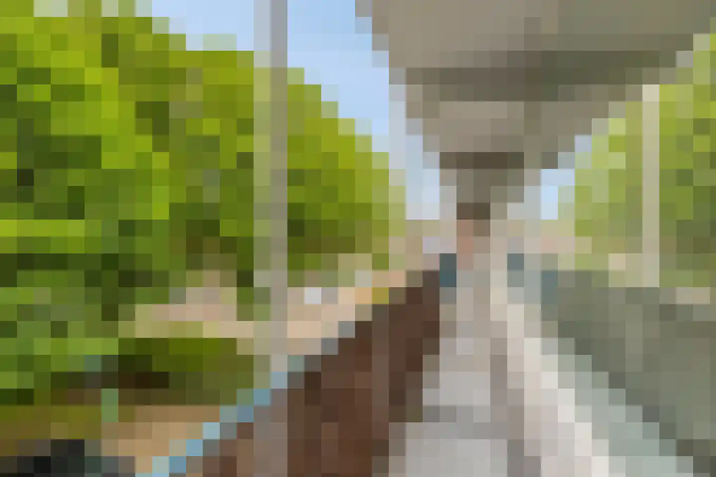 Breitnerstraat 17 Terneuzen thumbnail 21