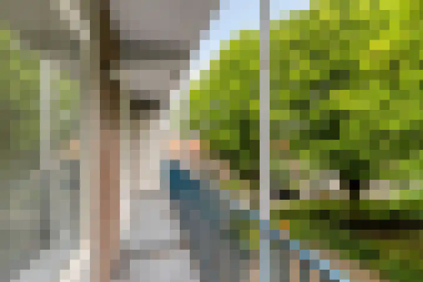Breitnerstraat 17 Terneuzen thumbnail 22