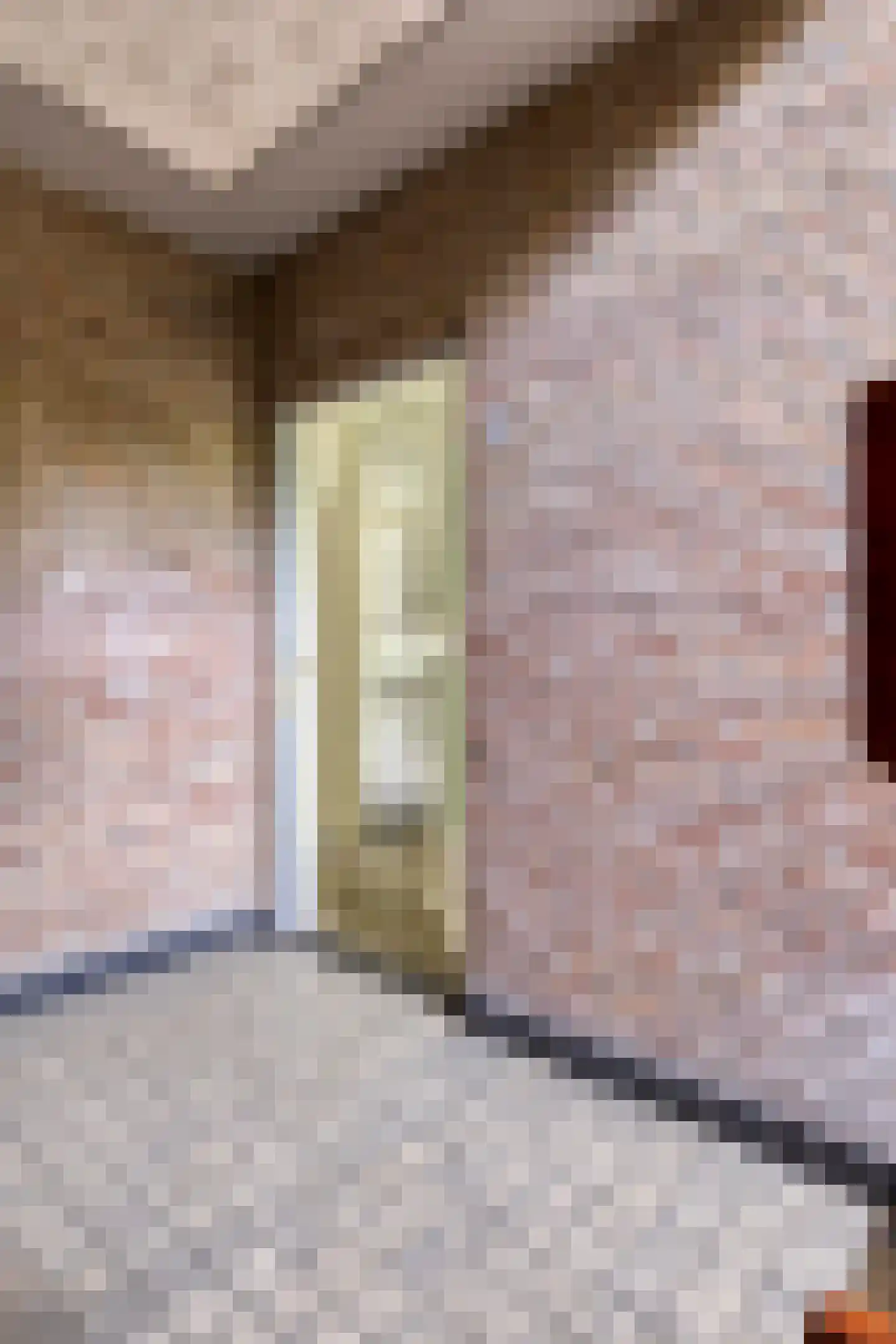 Breitnerstraat 17 Terneuzen thumbnail 8