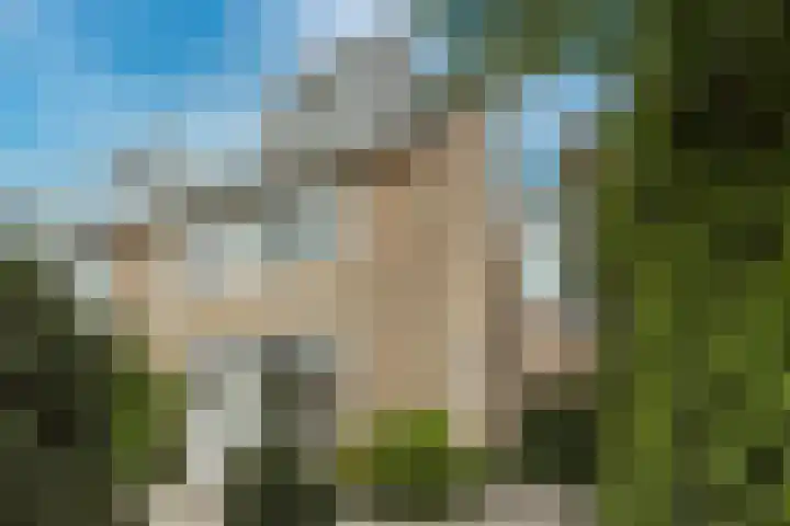 Breitnerstraat 18 in Bleiswijk