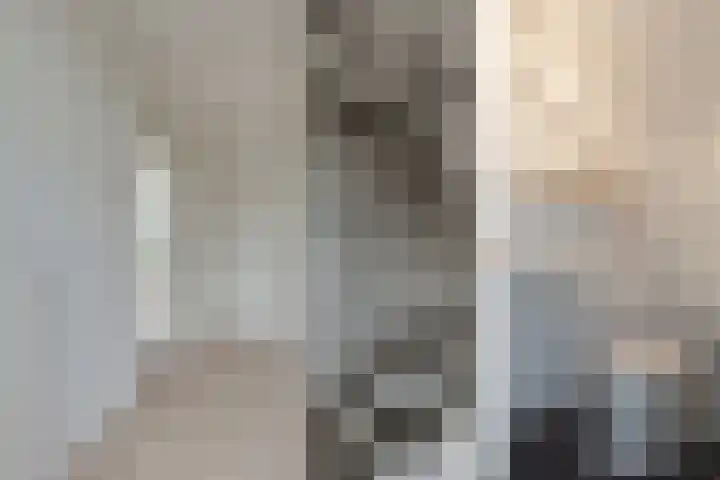 Breitnerstraat 18 Bleiswijk thumbnail 9