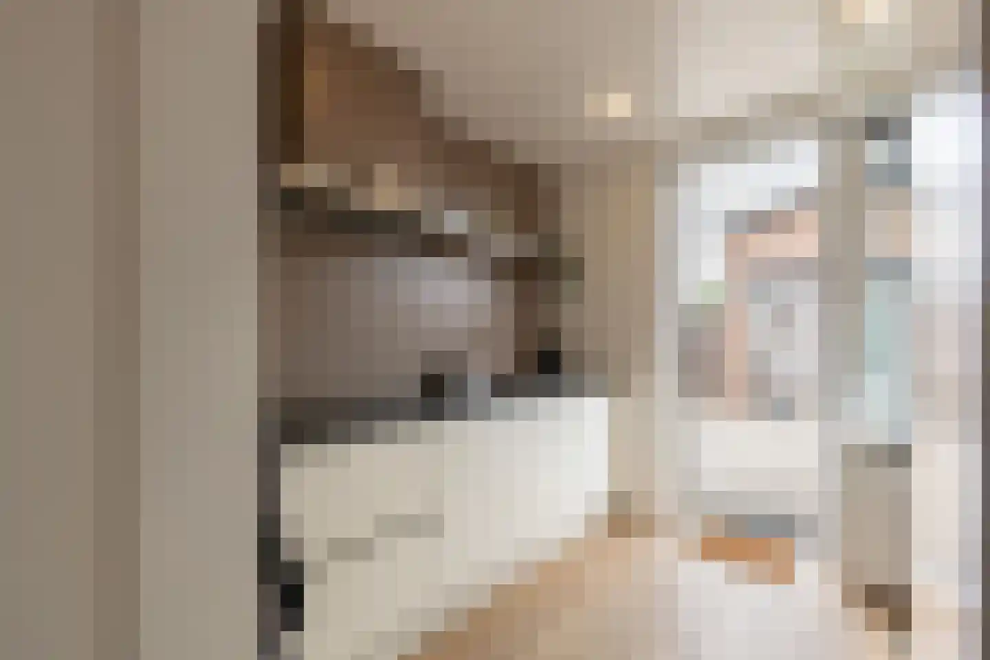 Breitnerstraat 24 Geleen thumbnail 13