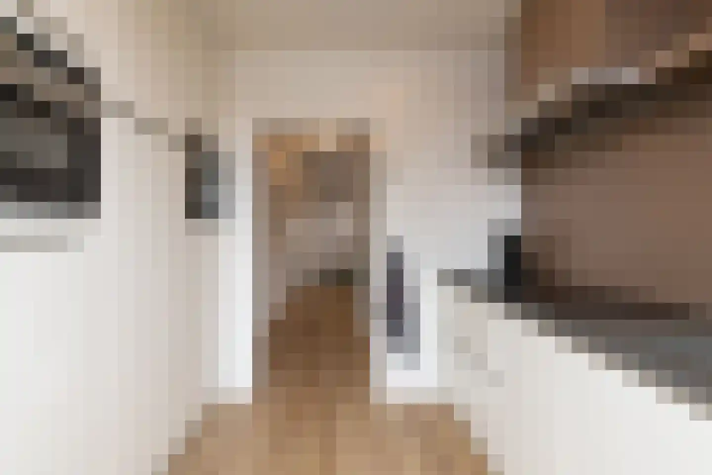 Breitnerstraat 24 Geleen thumbnail 22