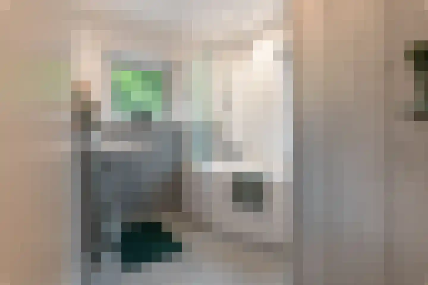 Breitnerstraat 24 Geleen thumbnail 34