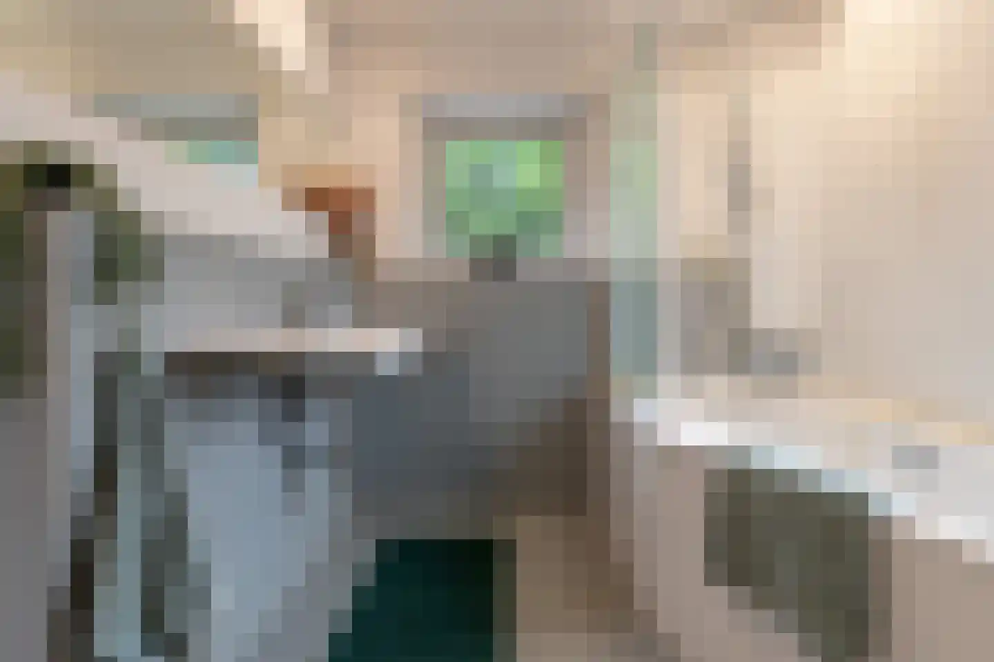 Breitnerstraat 24 Geleen thumbnail 38