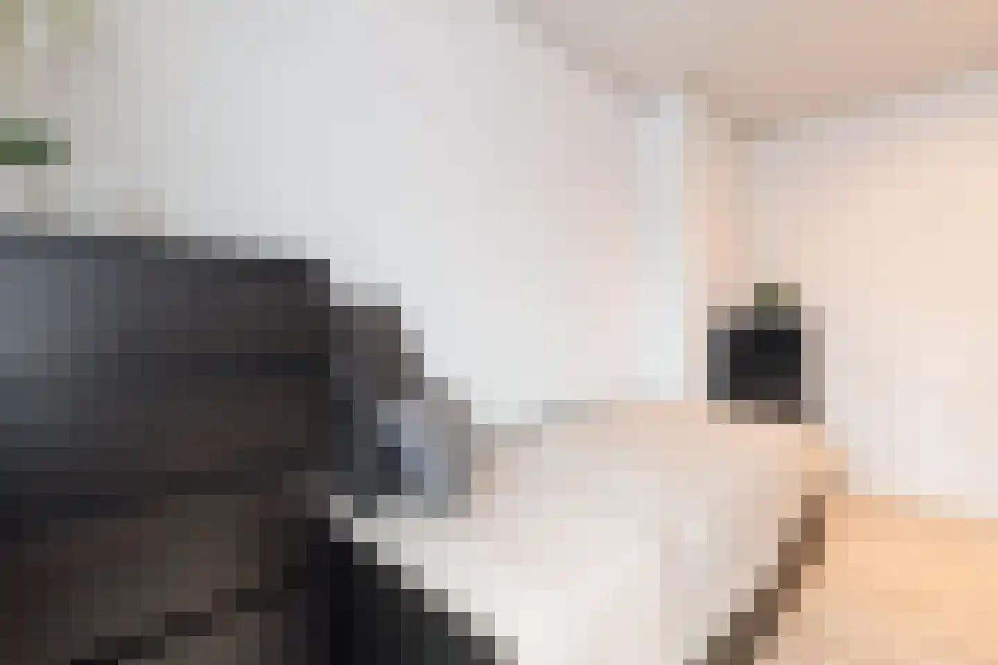 Breitnerstraat 24 Geleen thumbnail 43