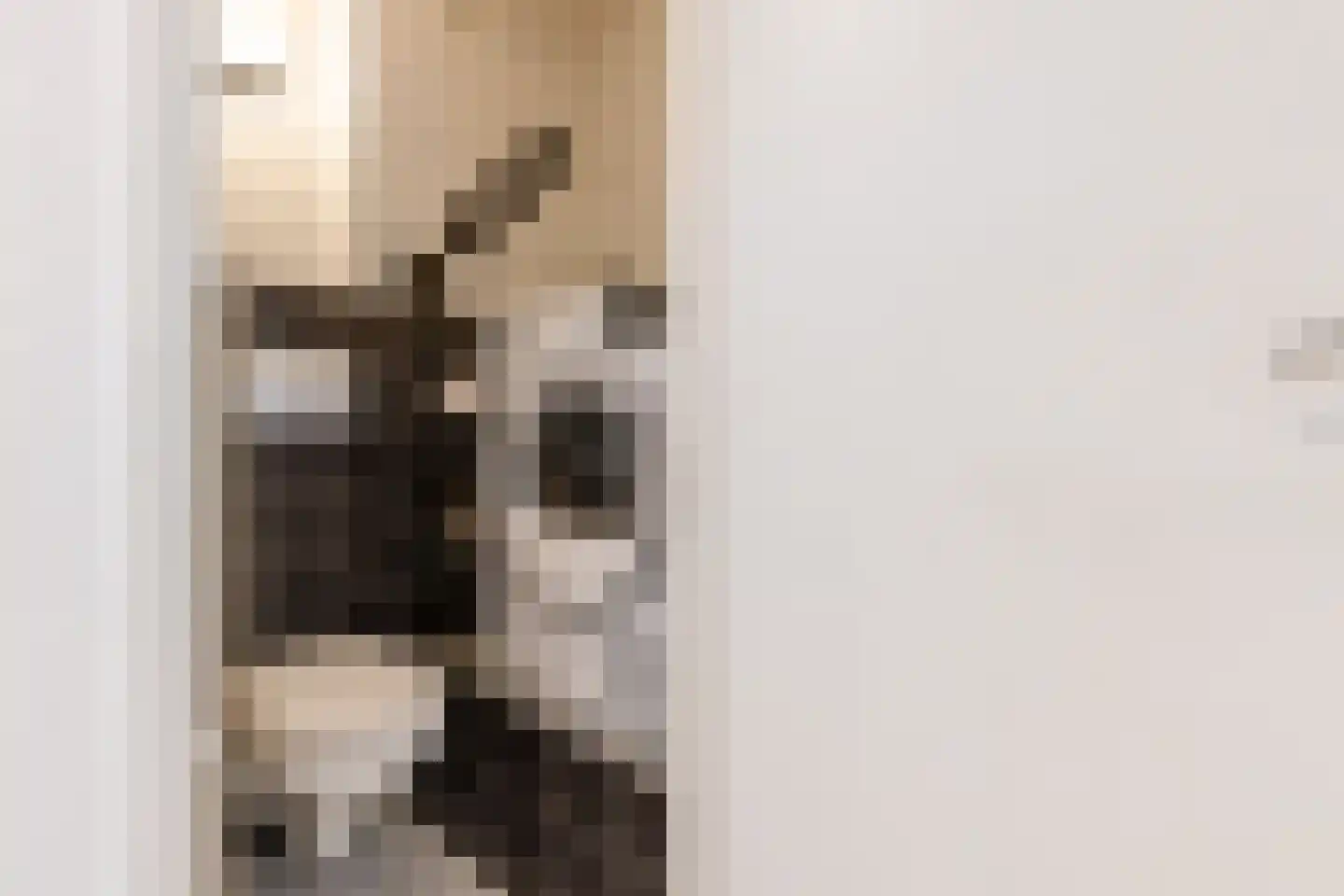 Breitnerstraat 24 Geleen thumbnail 48
