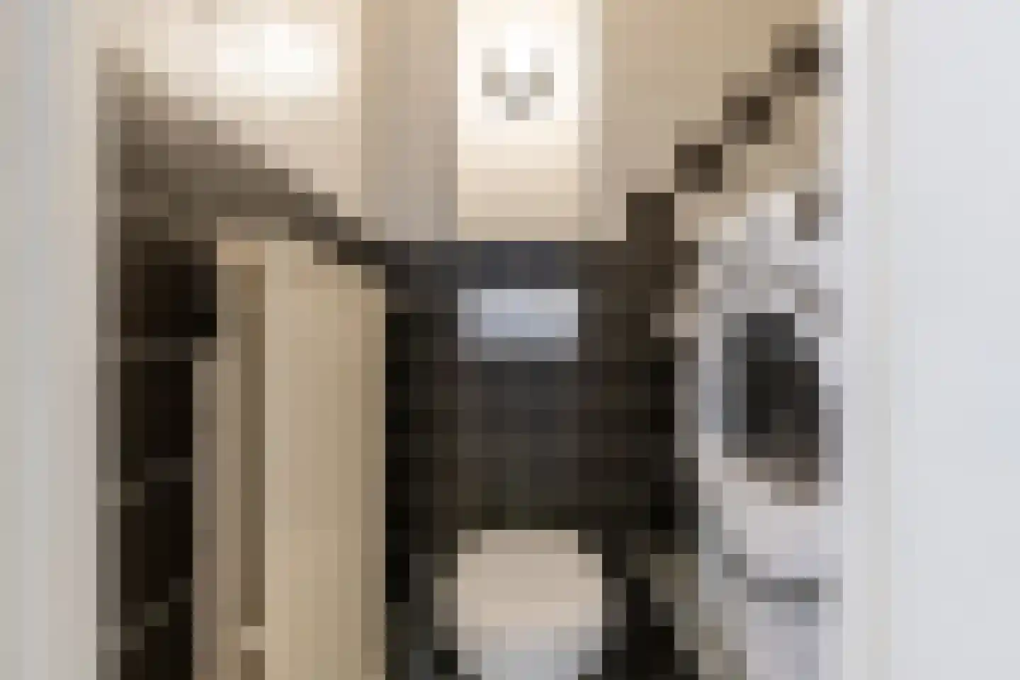 Breitnerstraat 24 Geleen thumbnail 49