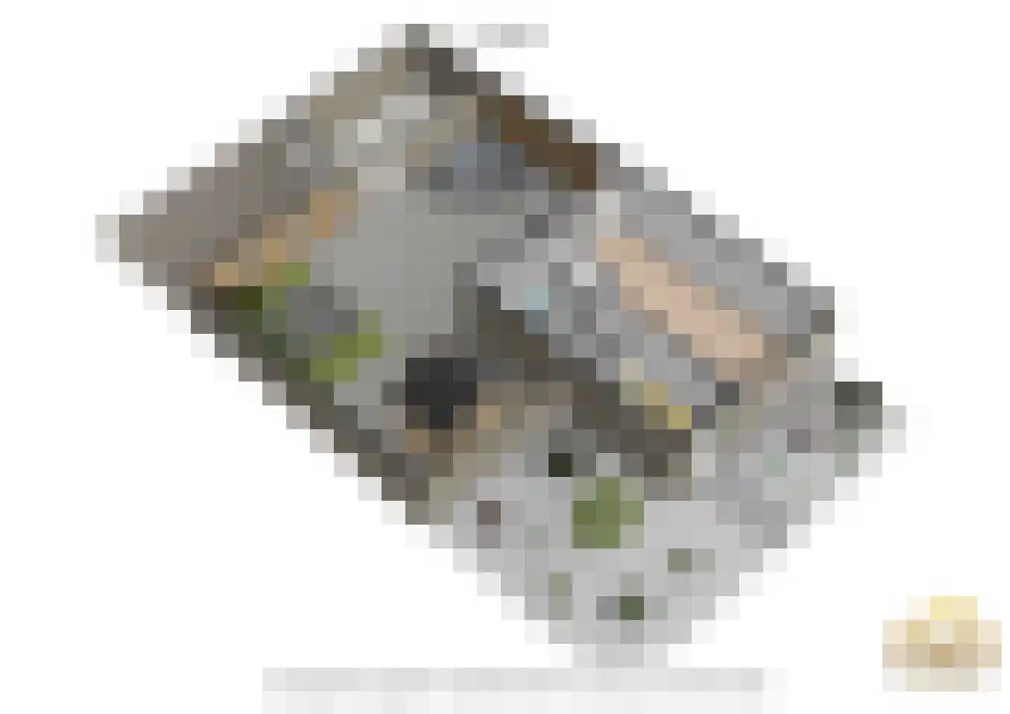 Breitnerstraat 24 Geleen thumbnail 64
