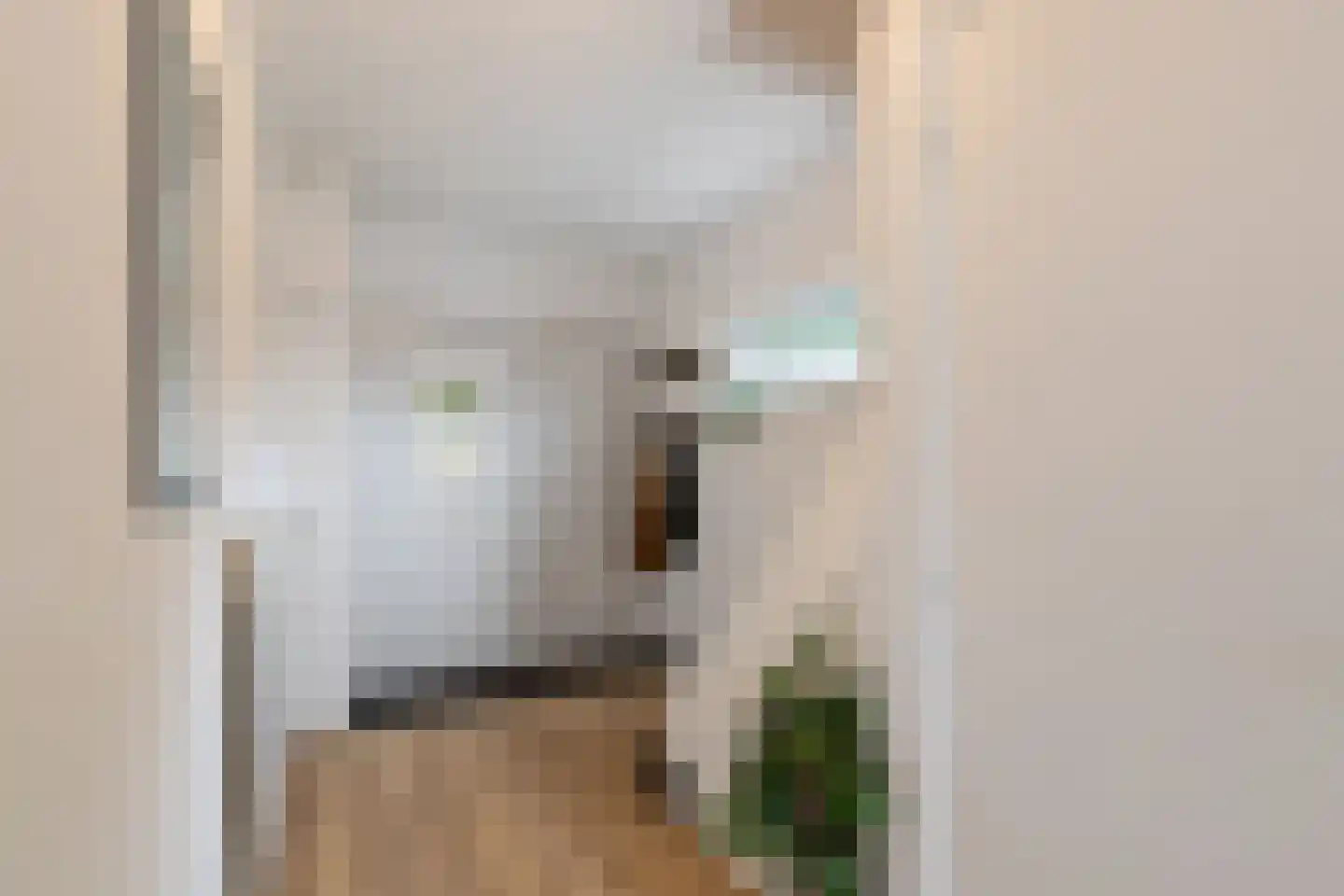 Breitnerstraat 24 Geleen thumbnail 7