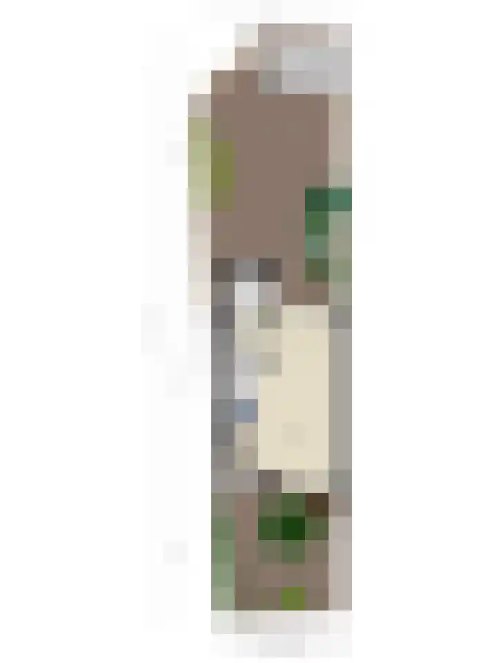 Breitnerstraat 32 Goes thumbnail 38