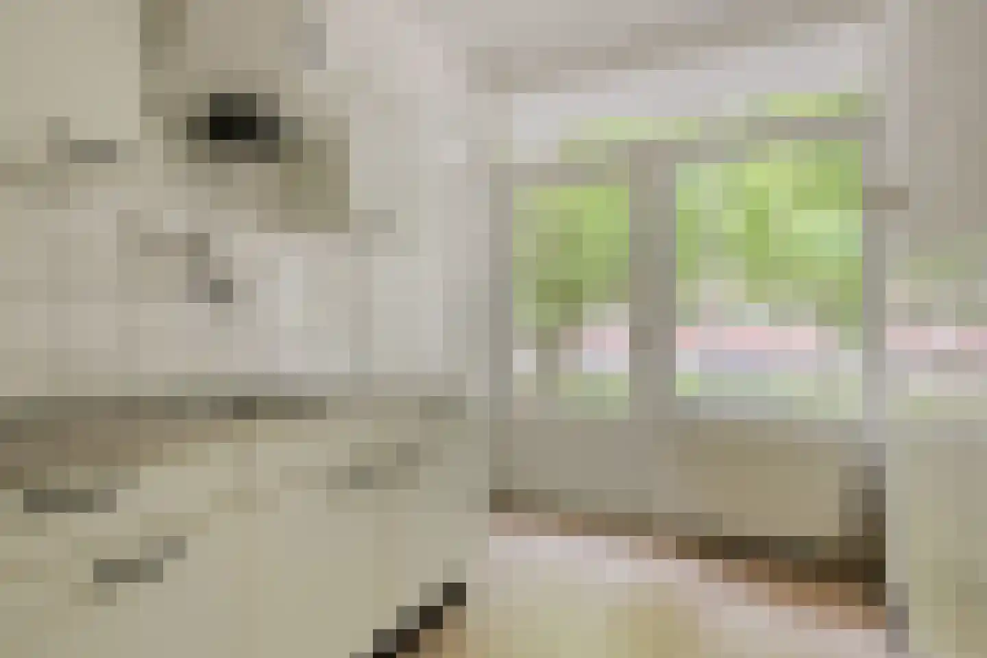 Breitnerstraat 33 Terneuzen thumbnail 8