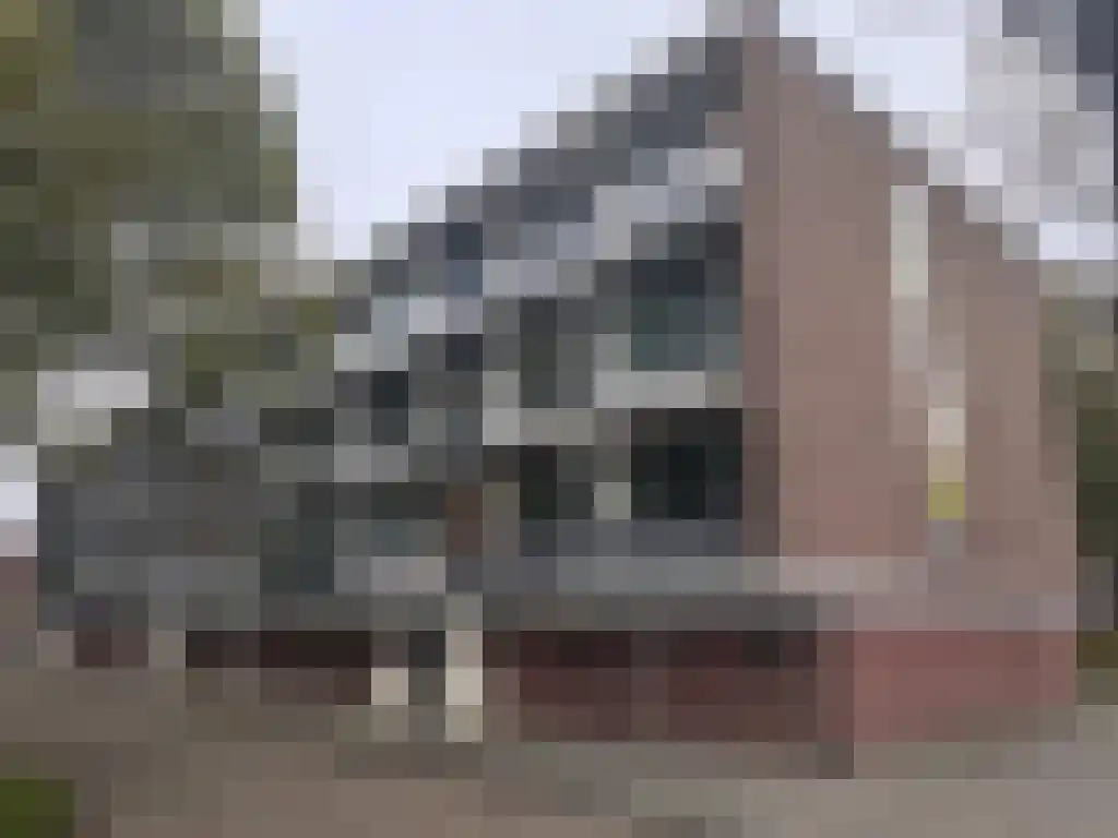 Breitnerstraat 39 Terneuzen