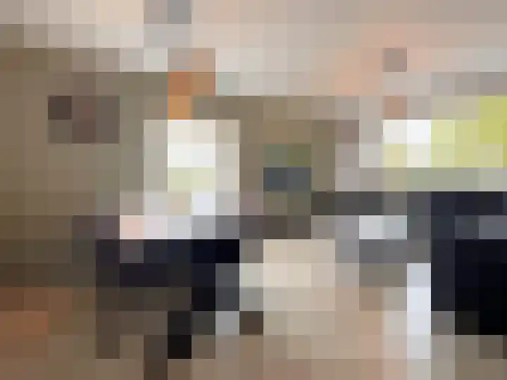 Breitnerstraat 39 Terneuzen thumbnail 16