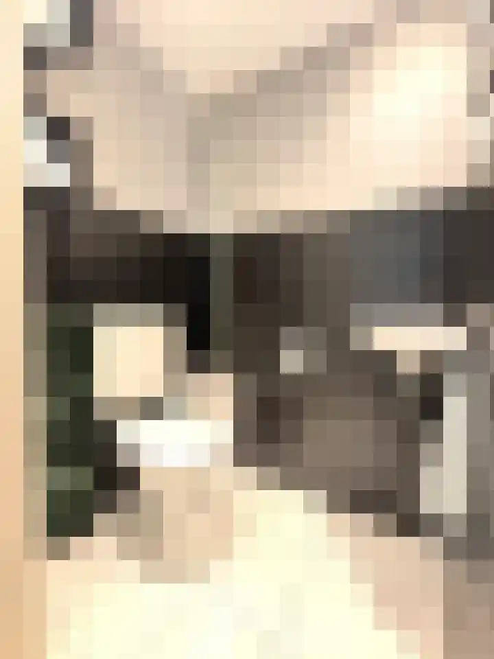 Breitnerstraat 39 Terneuzen thumbnail 19