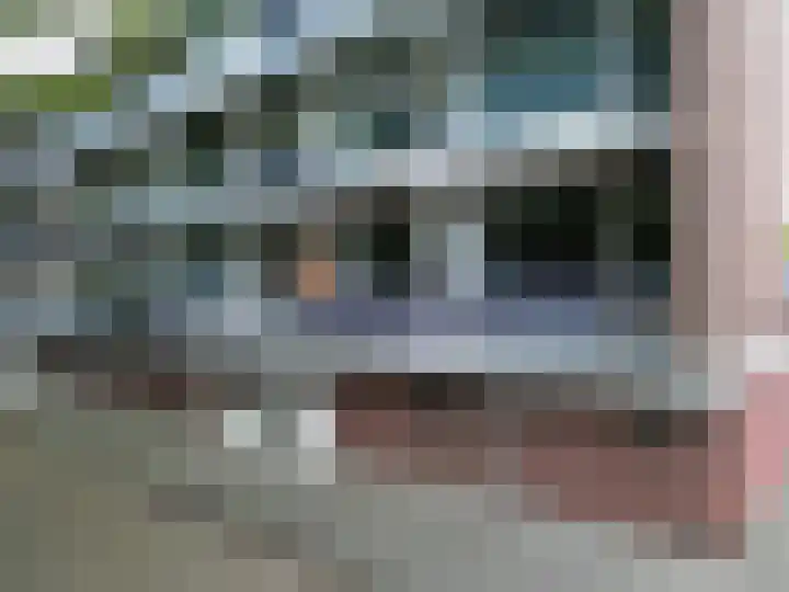 Breitnerstraat 39 Terneuzen thumbnail 23