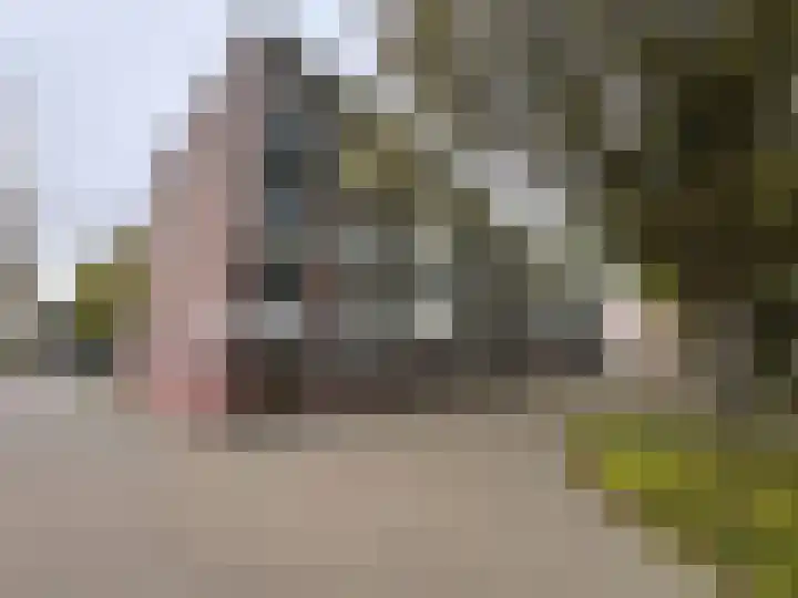 Breitnerstraat 39 Terneuzen thumbnail 24
