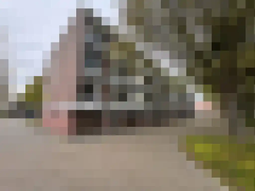 Breitnerstraat 39 Terneuzen thumbnail 24
