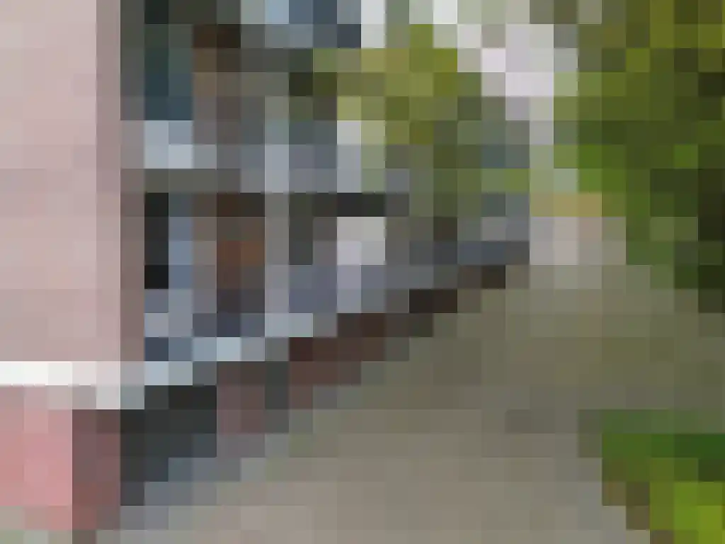 Breitnerstraat 39 Terneuzen thumbnail 26