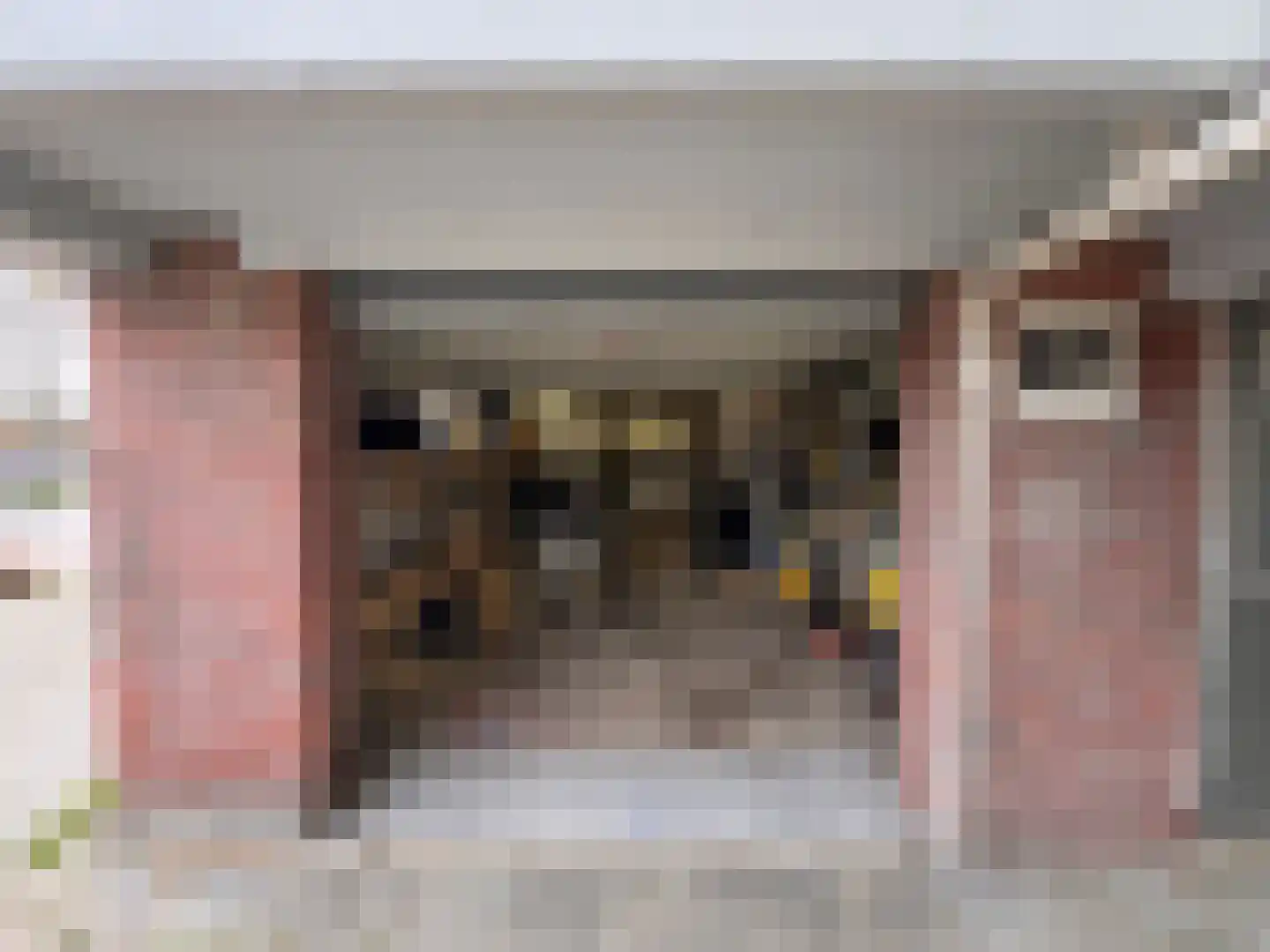 Breitnerstraat 39 Terneuzen thumbnail 27
