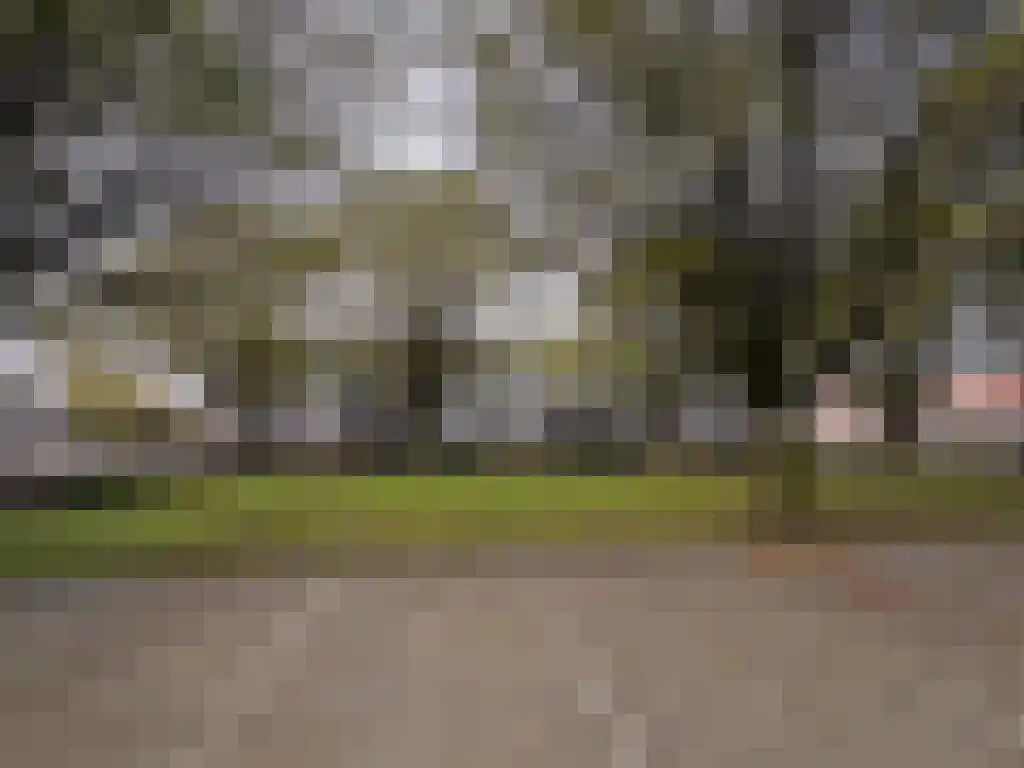Breitnerstraat 39 Terneuzen thumbnail 33