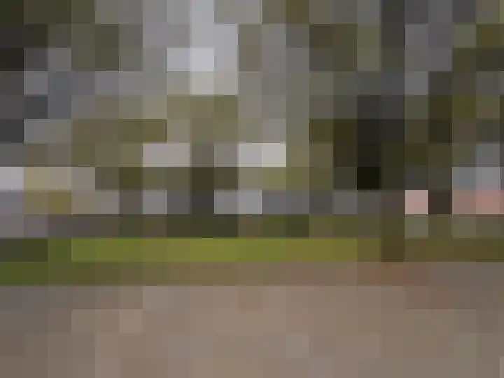 Breitnerstraat 39 Terneuzen thumbnail 33