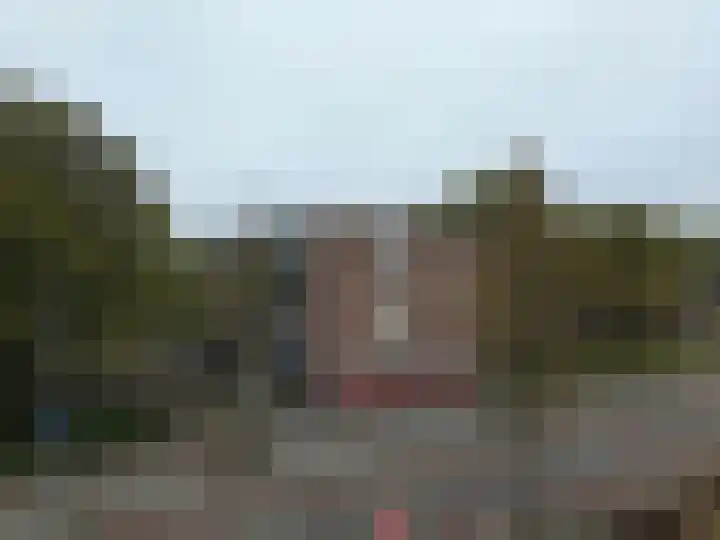 Breitnerstraat 39 Terneuzen thumbnail 34