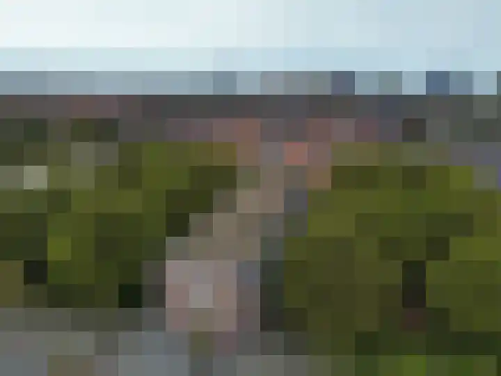 Breitnerstraat 39 Terneuzen thumbnail 35