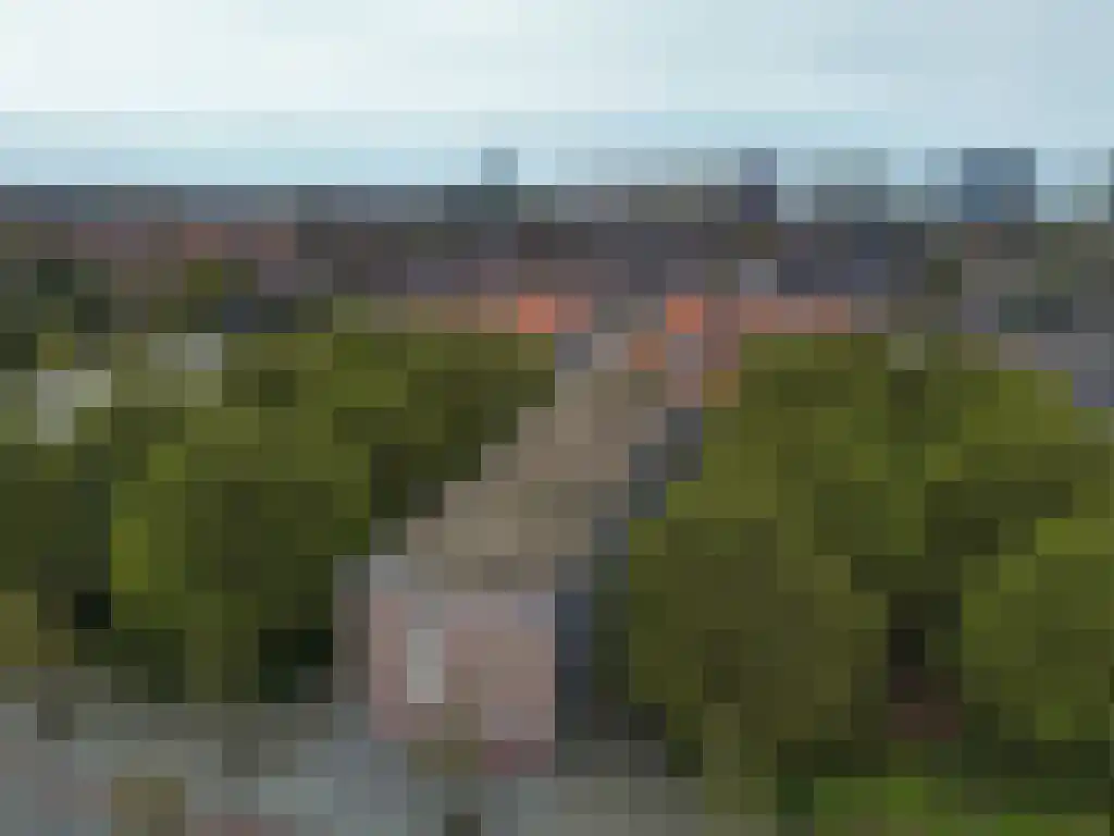 Breitnerstraat 39 Terneuzen thumbnail 35