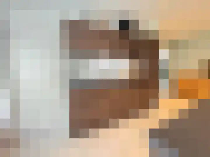 Breitnerstraat 39 Terneuzen thumbnail 8