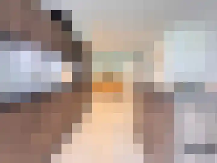 Breitnerstraat 39 Terneuzen thumbnail 9
