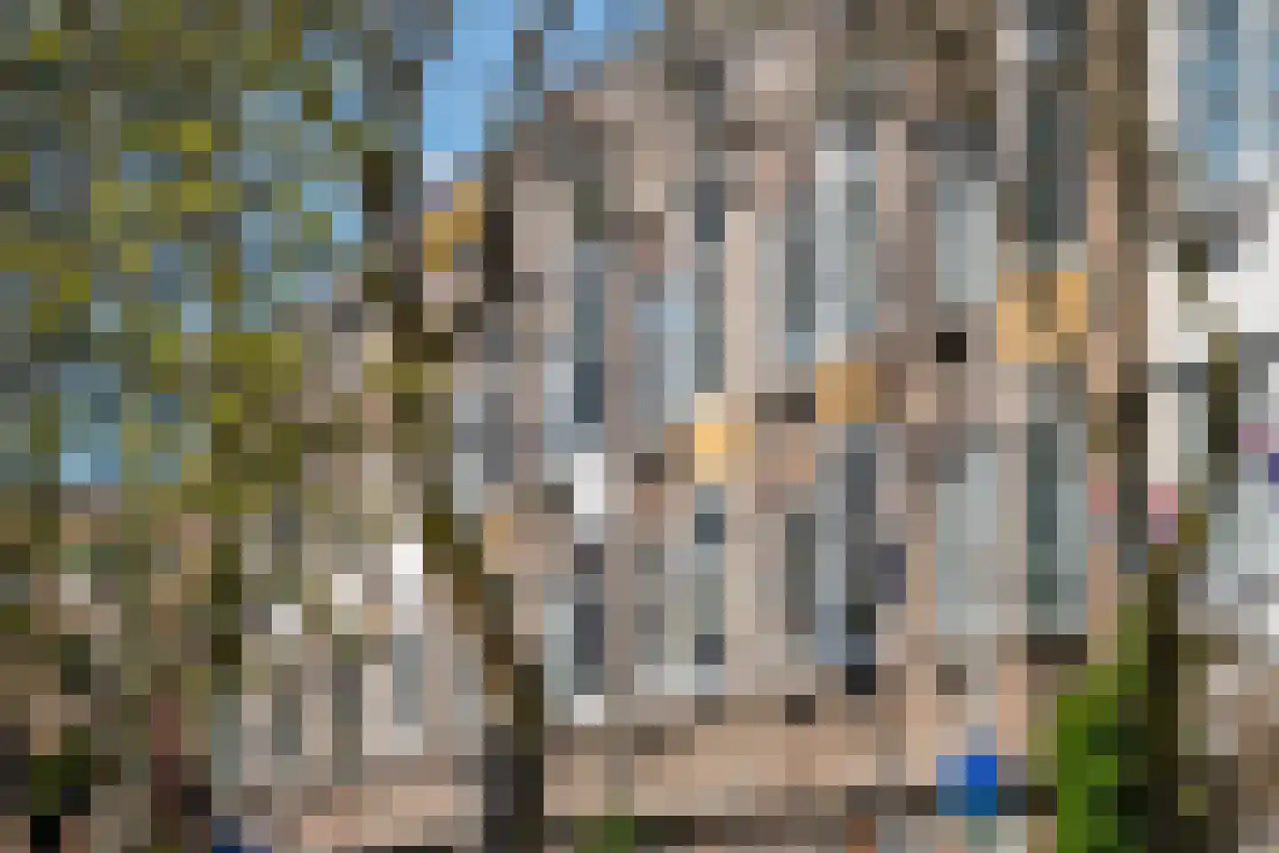 Breitnerstraat 43 A 01 Rotterdam thumbnail 33
