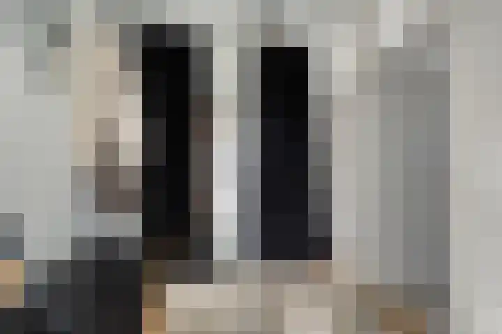 Breitnerstraat 43 Terneuzen thumbnail 6