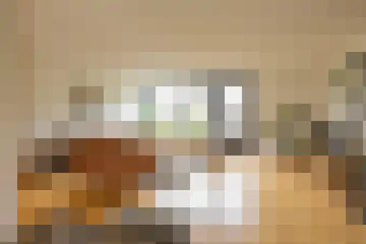Breitnerstraat 47 Groningen thumbnail 24