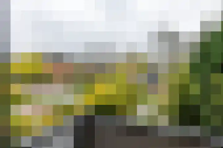 Breitnerstraat 47 Groningen thumbnail 27