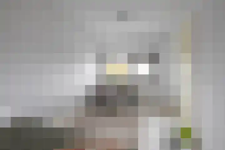 Breitnerstraat 47 Groningen thumbnail 42