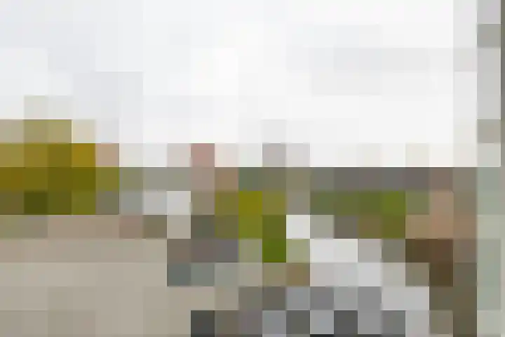 Breitnerstraat 47 Groningen thumbnail 43