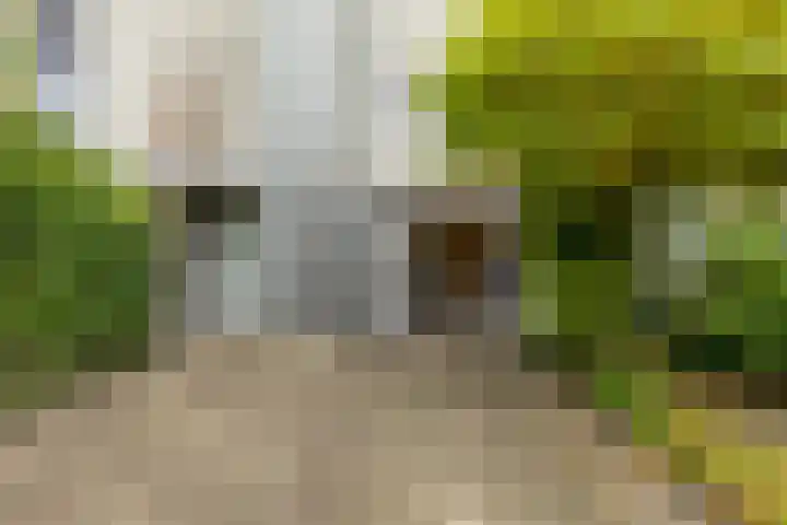 Breitnerstraat 47 Groningen thumbnail 48