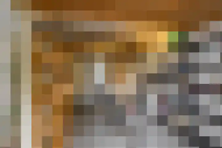 Breitnerstraat 47 Groningen thumbnail 50
