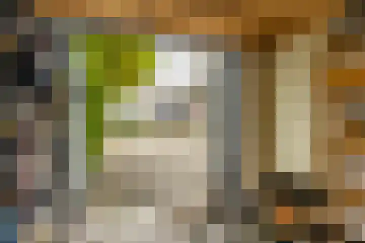 Breitnerstraat 47 Groningen thumbnail 51