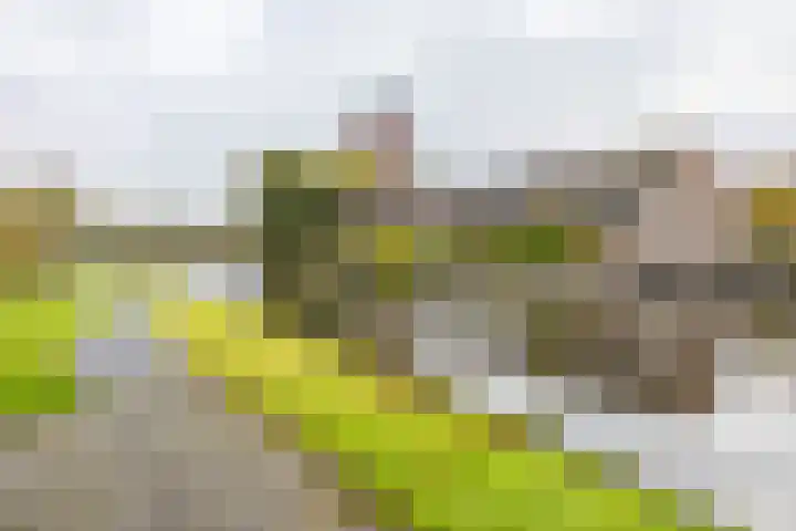 Breitnerstraat 47 Groningen thumbnail 52