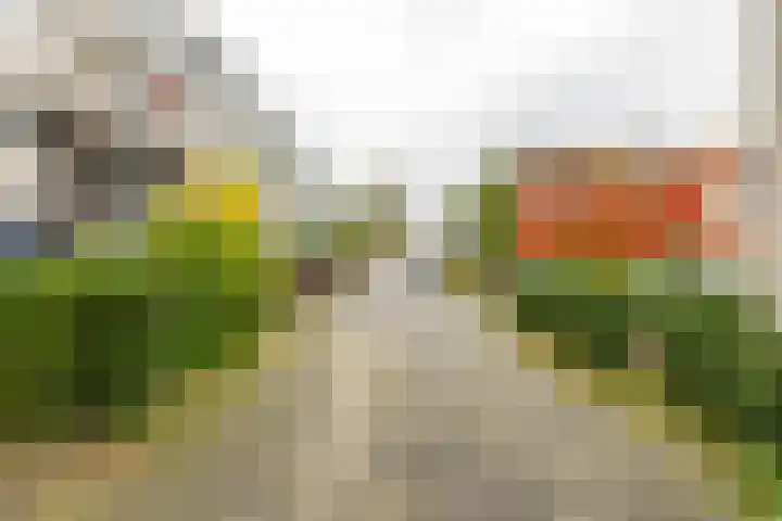 Breitnerstraat 47 Groningen thumbnail 54