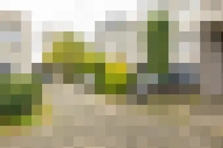 Breitnerstraat 47 Groningen thumbnail 55