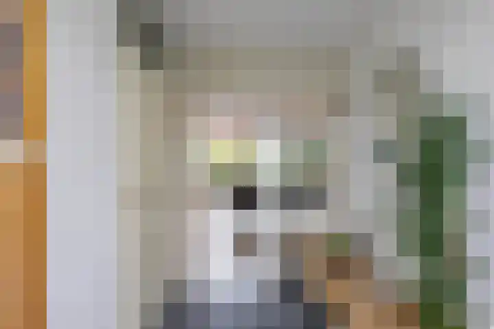 Breitnerstraat 47 Groningen thumbnail 6