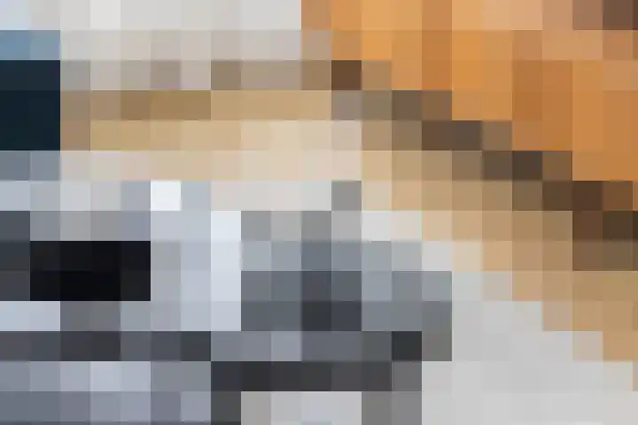 Breitnerstraat 48 Zwijndrecht thumbnail 10