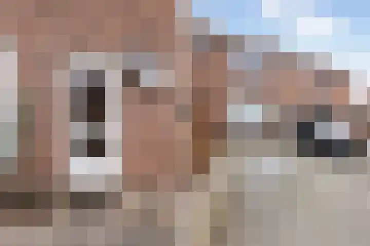 Breitnerstraat 48 Zwijndrecht thumbnail 31