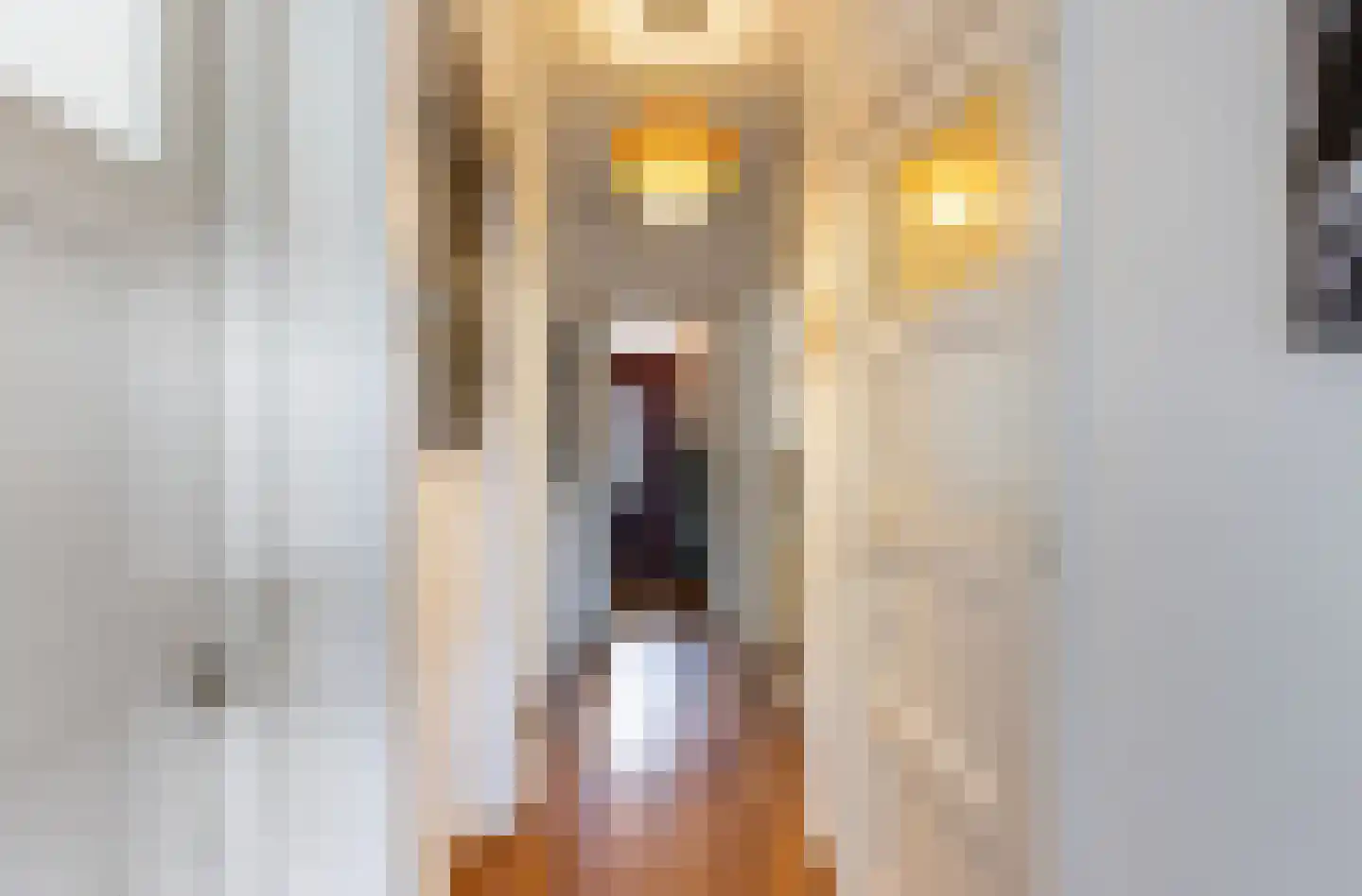 Breitnerstraat 58 B Rotterdam thumbnail 33